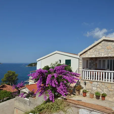 Lejlighed Goran Prizba